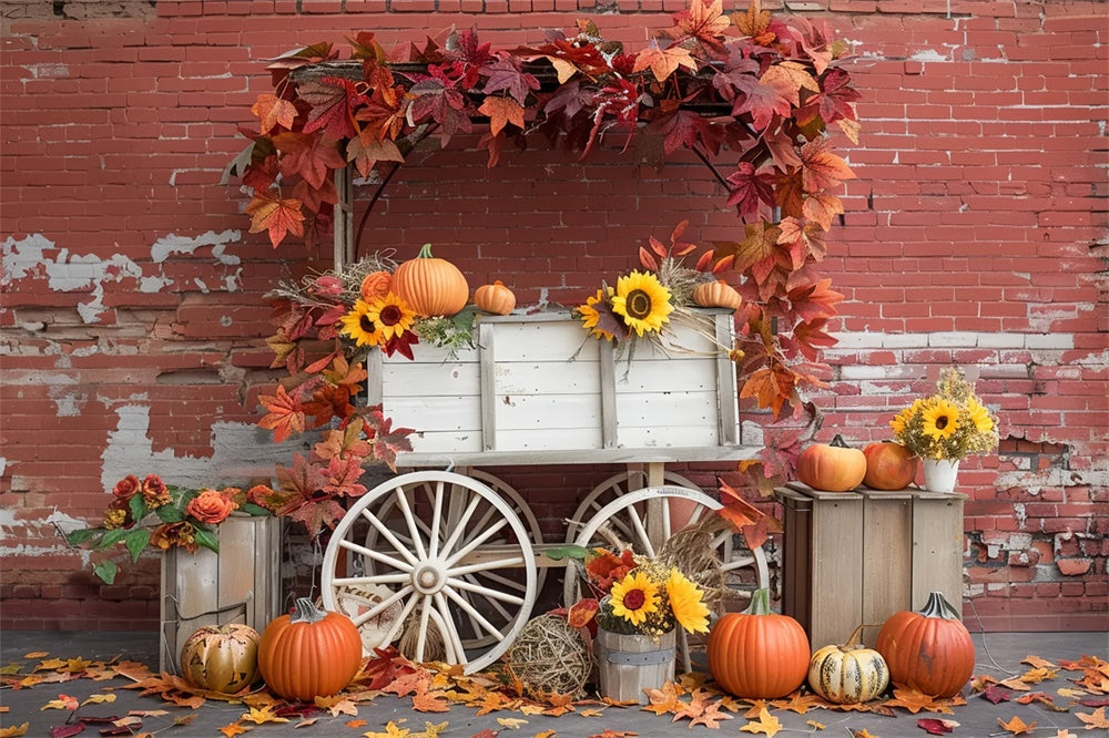 Sfondo Autunnale In Rovina Con Muro Di Mattoni E Zucca BRP7-167