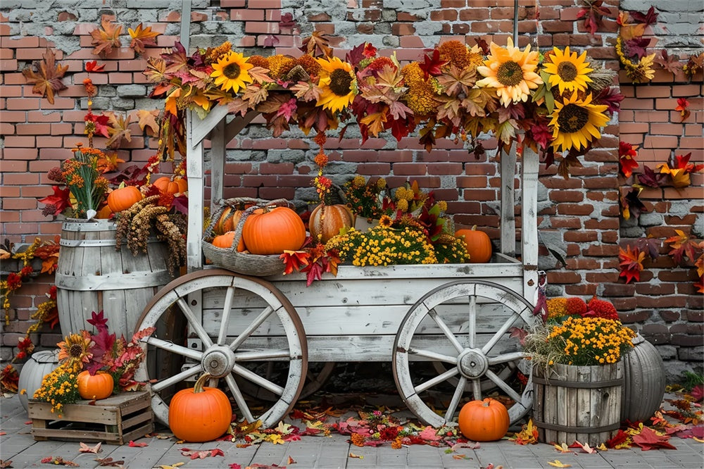 Sfondo Di Muro Di Mattoni Di Girasole Con Stand Di Zucca Autunnale BRP7-168