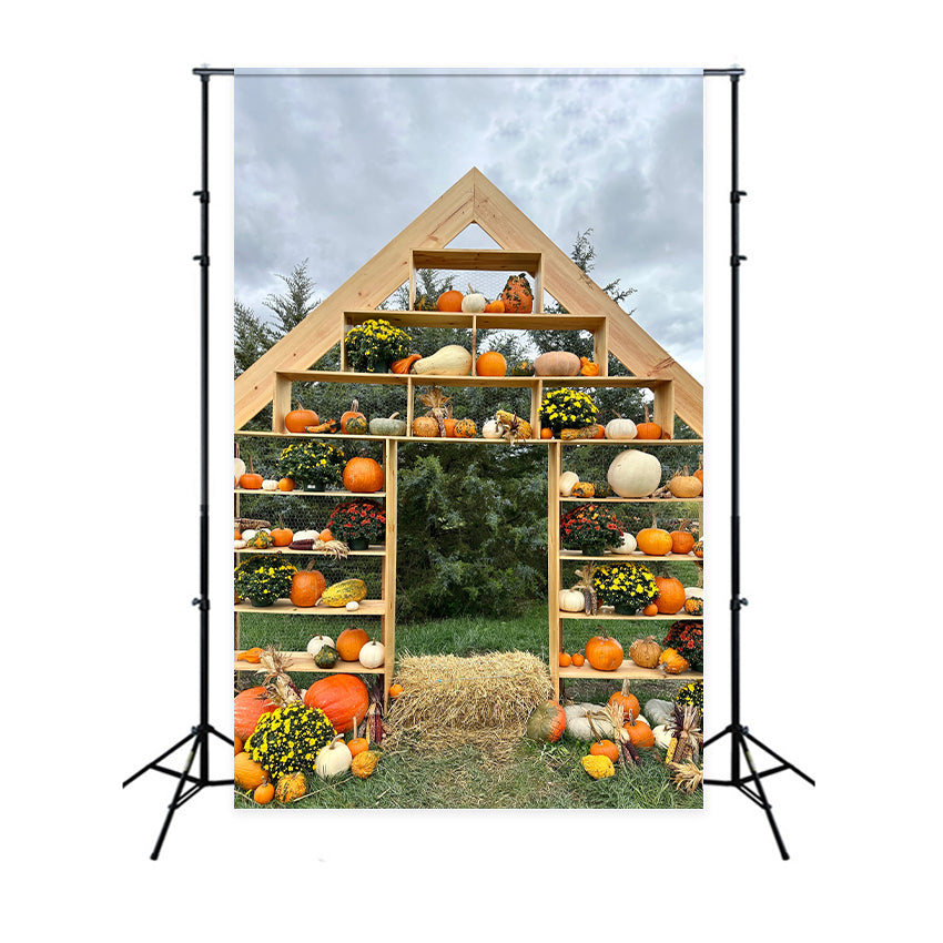 Sfondo Autunnale Con Visualizzazione Di Zucca Rustica BRP7-208