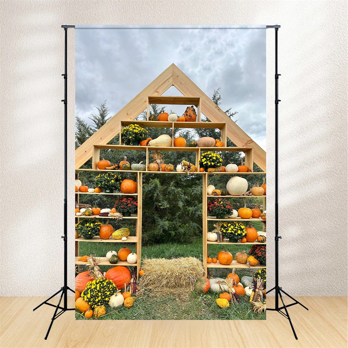 Sfondo Autunnale Con Visualizzazione Di Zucca Rustica BRP7-208