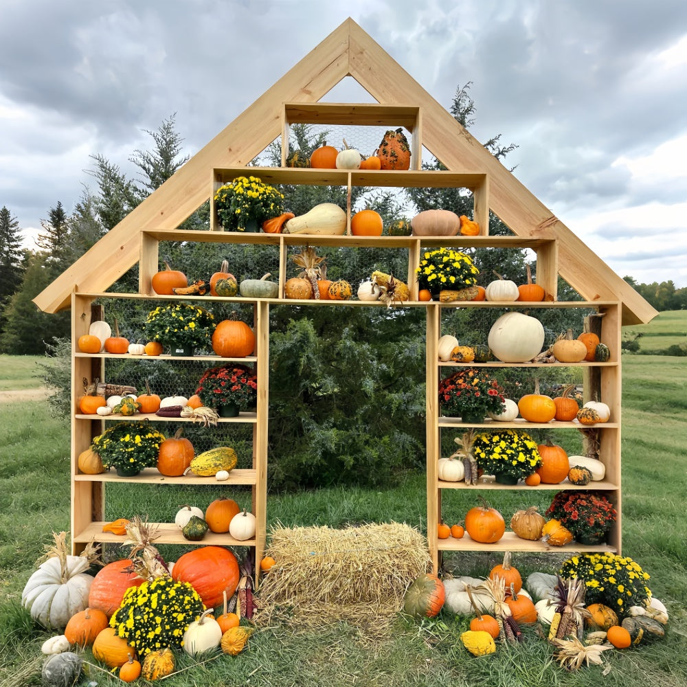 Sfondo Autunnale Con Visualizzazione Di Zucca Rustica BRP7-208