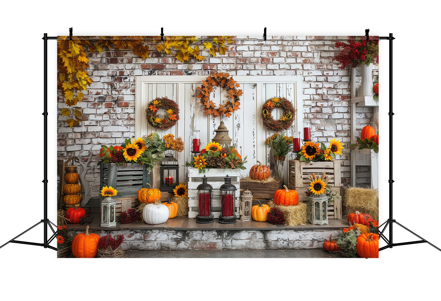 Sfondo Autunnale Di Zucca Con Porta Bianca BRP7-92