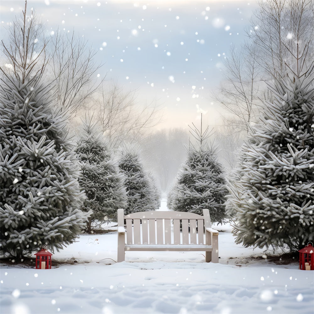 Sfondo Della Panca Del Boschetto Dell'Albero Di Natale Innevato BRP8-141