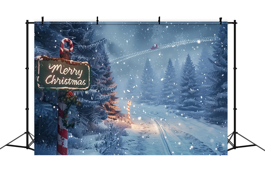 Sfondo Del Sentiero Nel Bosco Di Natale Incantato BRP8-15