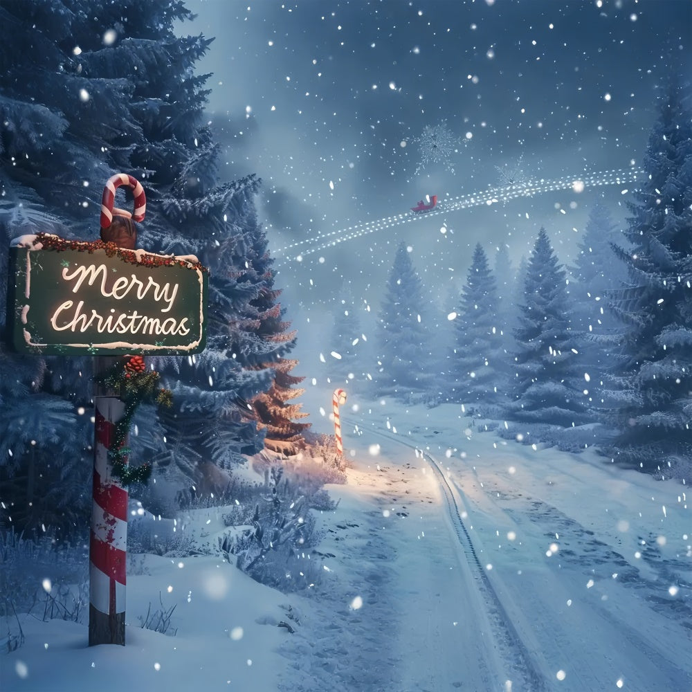 Sfondo Del Sentiero Nel Bosco Di Natale Incantato BRP8-15