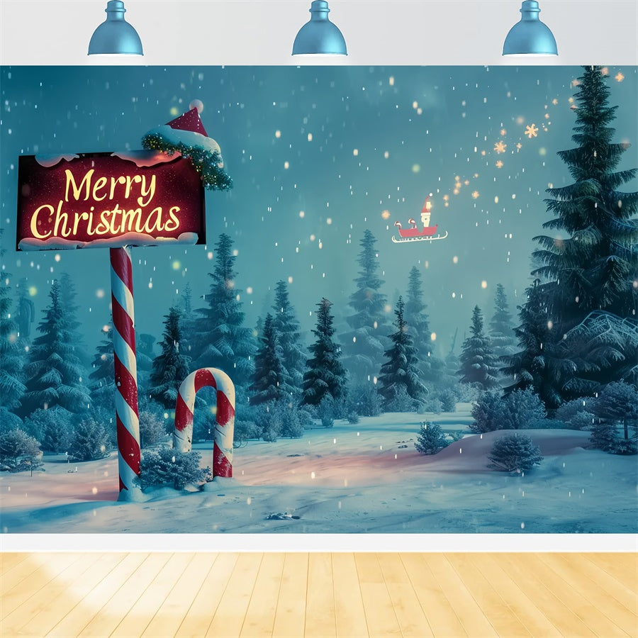 Sfondo Della Scena Magica Della Foresta Di Natale BRP8-16