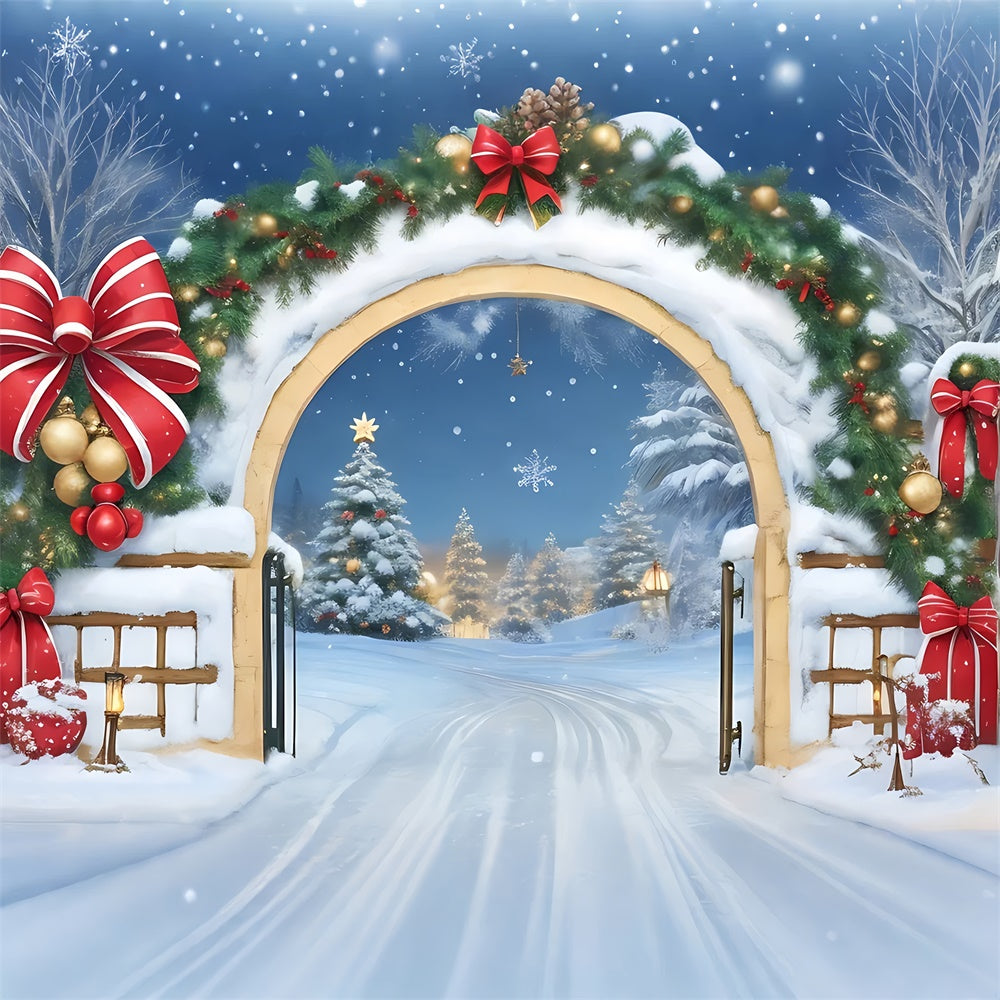 Sentiero Innevato Di Natale E Sfondo Dell'Arco BRP8-162