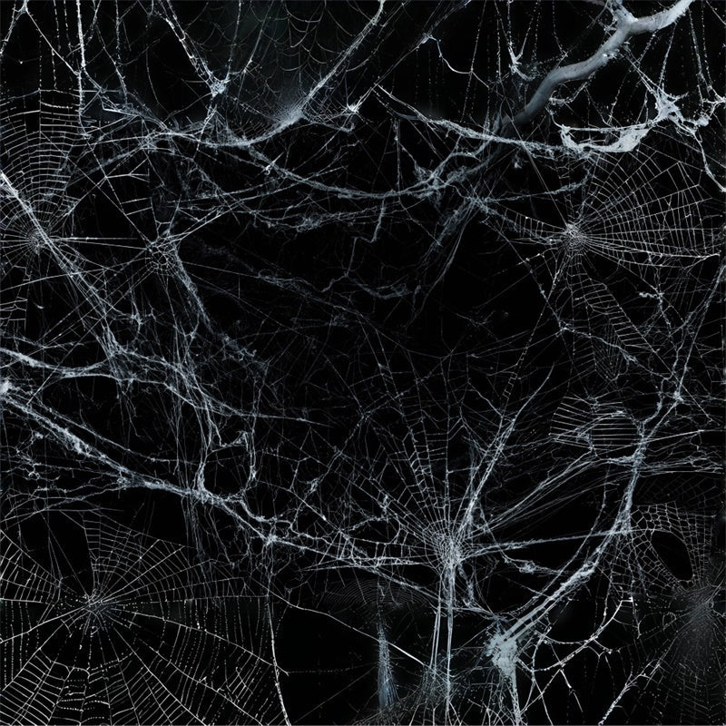 Sfondo Di Scena Di Halloween Con Ragnatela Agghiacciante BRP8-272