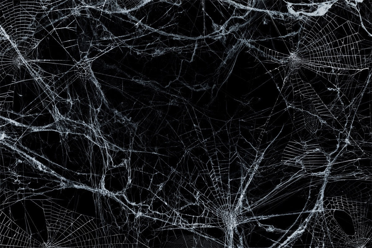 Sfondo Di Scena Di Halloween Con Ragnatela Agghiacciante BRP8-272