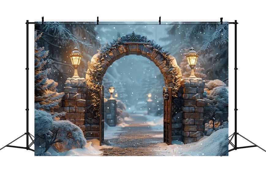 Sfondo Dell'Arco Della Foresta Mistica Di Natale BRP8-59