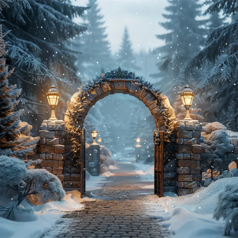 Sfondo Dell'Arco Della Foresta Mistica Di Natale BRP8-59