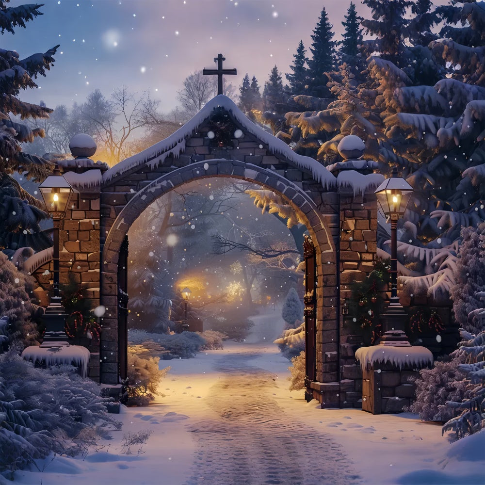 Sfondo Dell'Arco Del Sentiero Innevato Sereno Di Natale BRP8-61