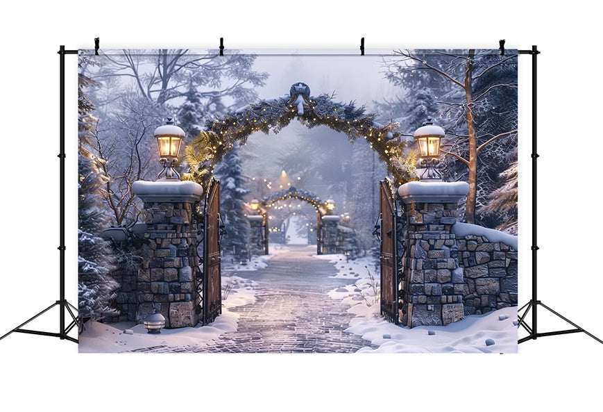 Sfondo Del Percorso Dell'Arco In Pietra Della Notte Invernale Di Natale BRP8-62