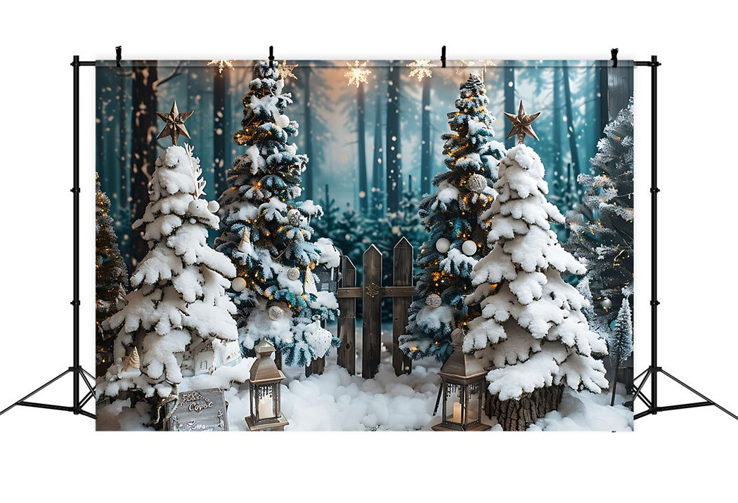 Sfondo Di Pini Innevati Illuminati Da Stelle Di Natale BRP8-96