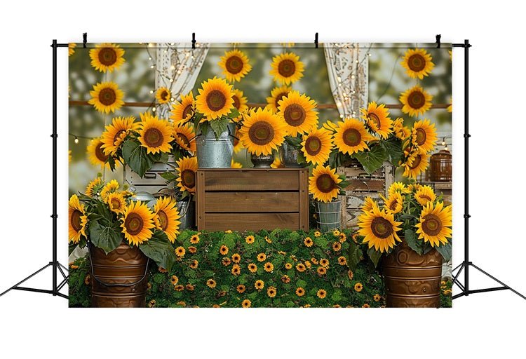 Cassa Di Legno Rustica Sfondo Vibrante Di Girasole Autunnale BRP9-128