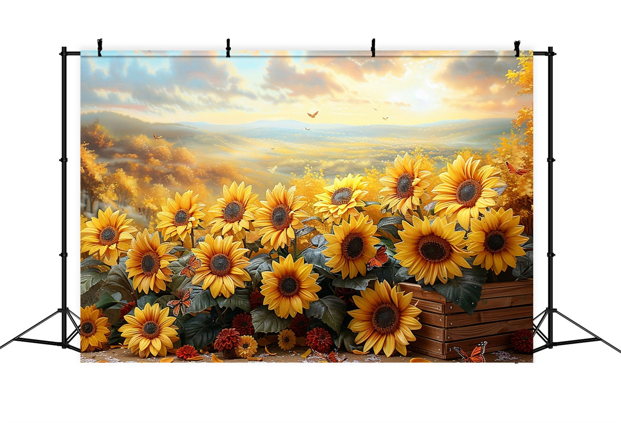 Sfondo Di Bagliore Del Tramonto Autunnale Del Campo Di Girasole Dorato BRP9-181
