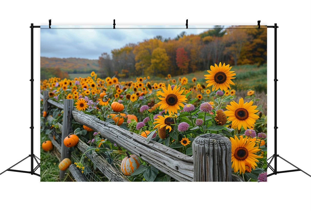 Sfondo Di Recinzione In Legno Rustico Con Zucche Dorate E Girasoli BRP9-185