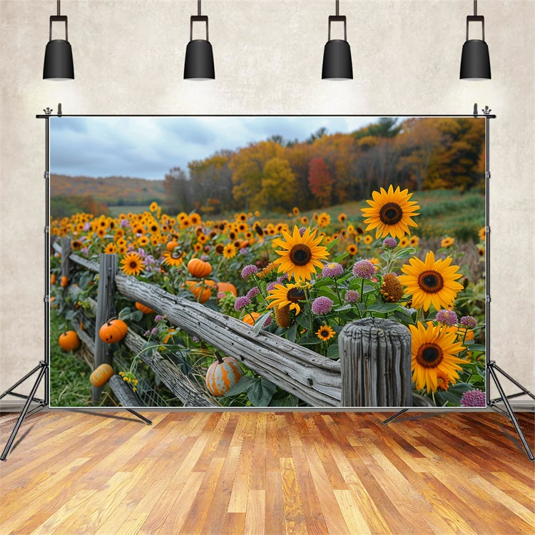 Sfondo Di Recinzione In Legno Rustico Con Zucche Dorate E Girasoli BRP9-185