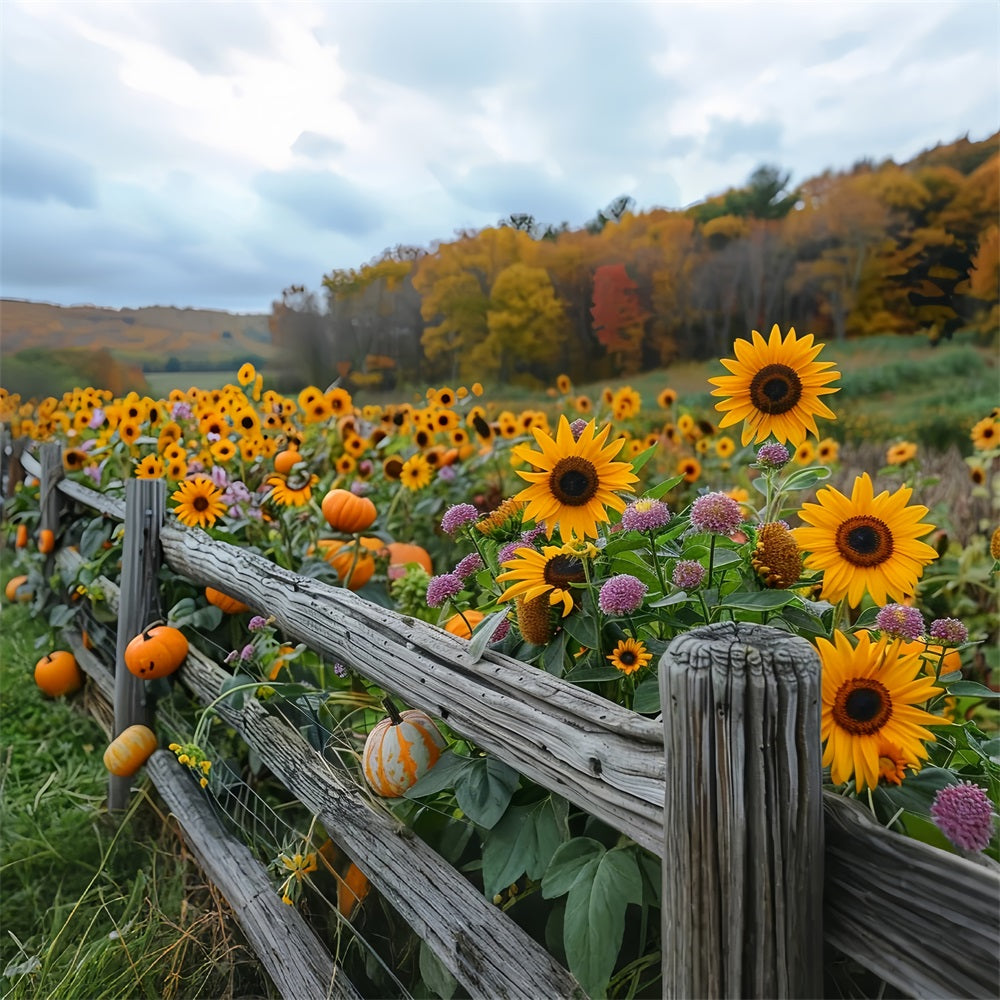 Sfondo Di Recinzione In Legno Rustico Con Zucche Dorate E Girasoli BRP9-185