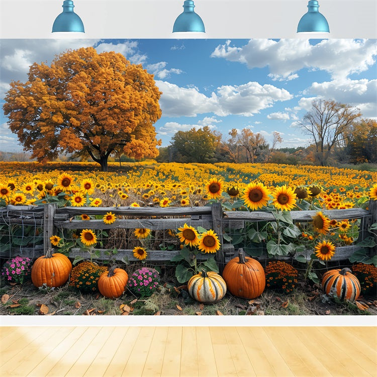 Sfondo Di Zucche Di Grandi Alberi Di Campi Di Girasoli Autunnali BRP9-186