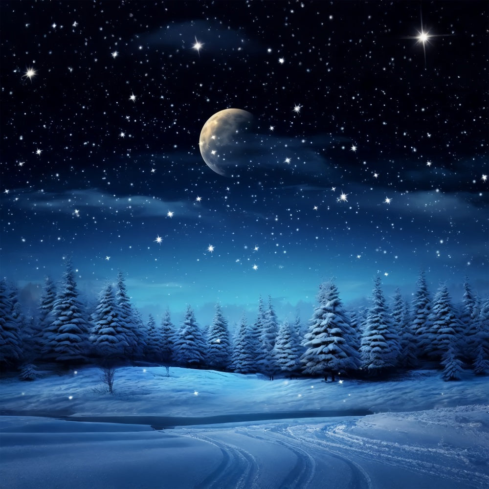 Sfondo Fotografico Del Paese Delle Meraviglie Invernale Della Notte Stellata BRP9-211