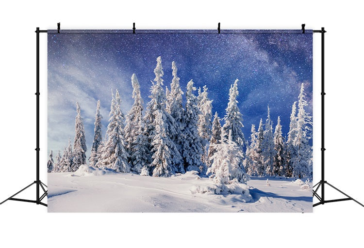Pini Innevati Invernali Sotto Lo Sfondo Della Via Lattea BRP9-216