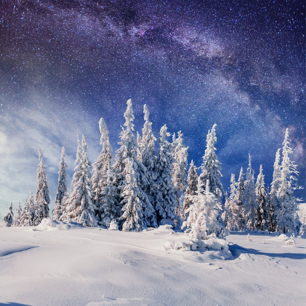 Pini Innevati Invernali Sotto Lo Sfondo Della Via Lattea BRP9-216