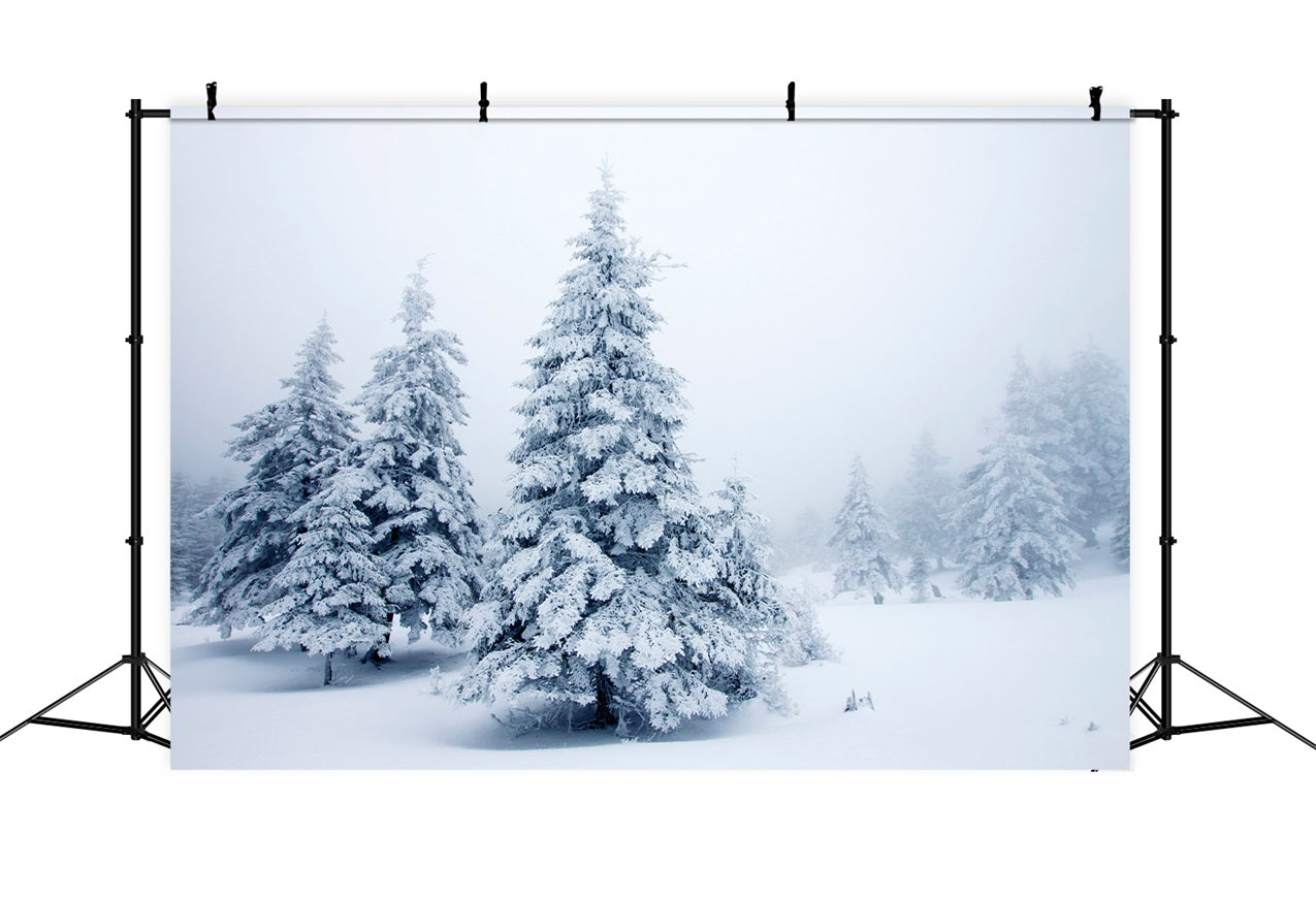 Sfondo Di Paesaggi Innevati Tranquilli Di Pini Invernali BRP9-219