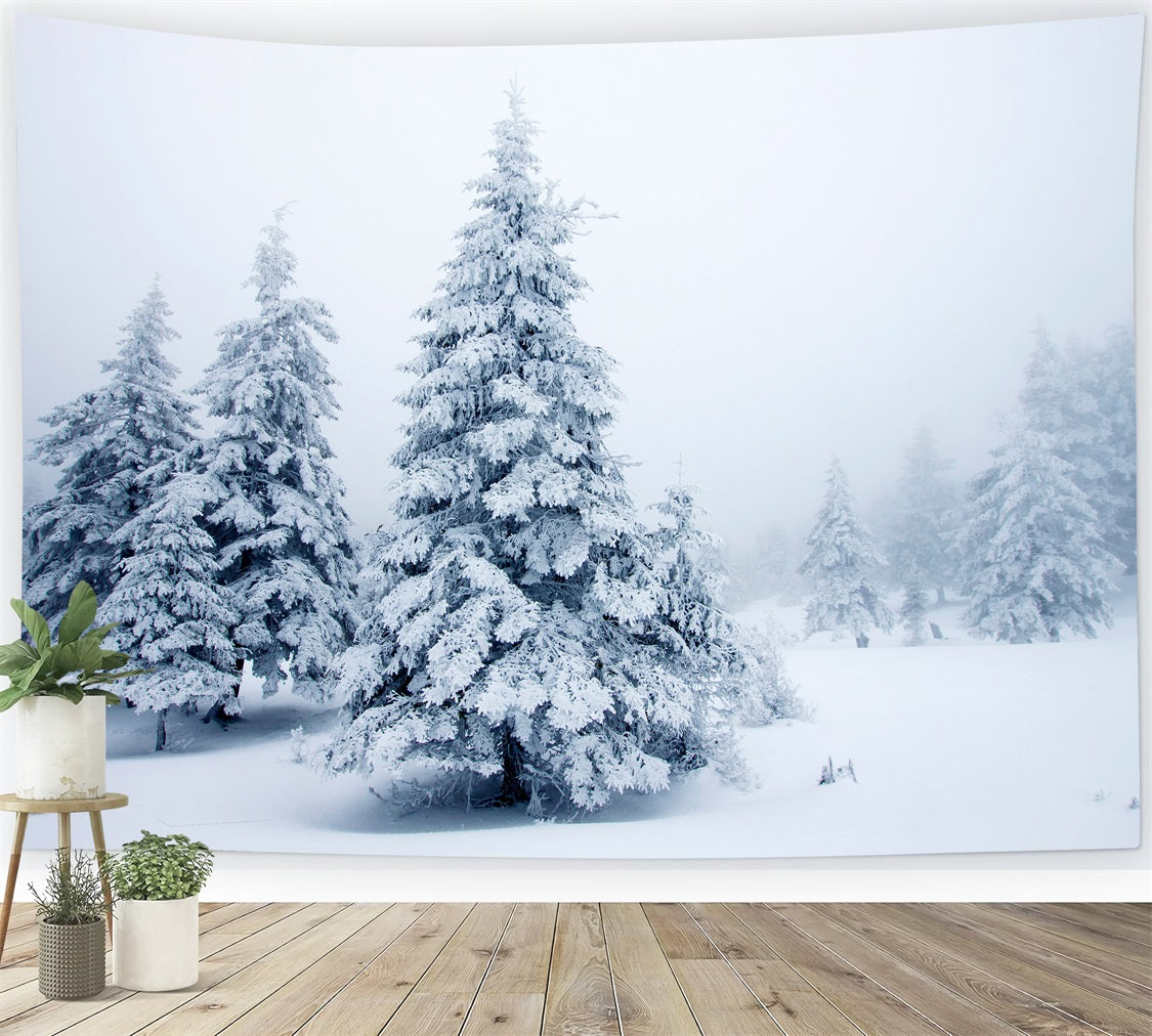 Sfondo Di Paesaggi Innevati Tranquilli Di Pini Invernali BRP9-219
