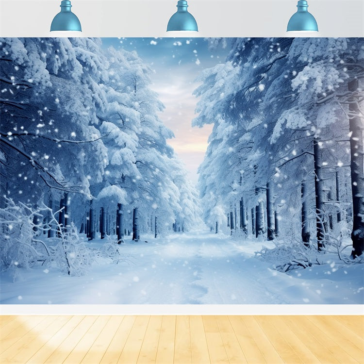 Passeggiata Invernale Attraverso Il Sentiero Nel Bosco Innevato Sullo Sfondo BRP9-221