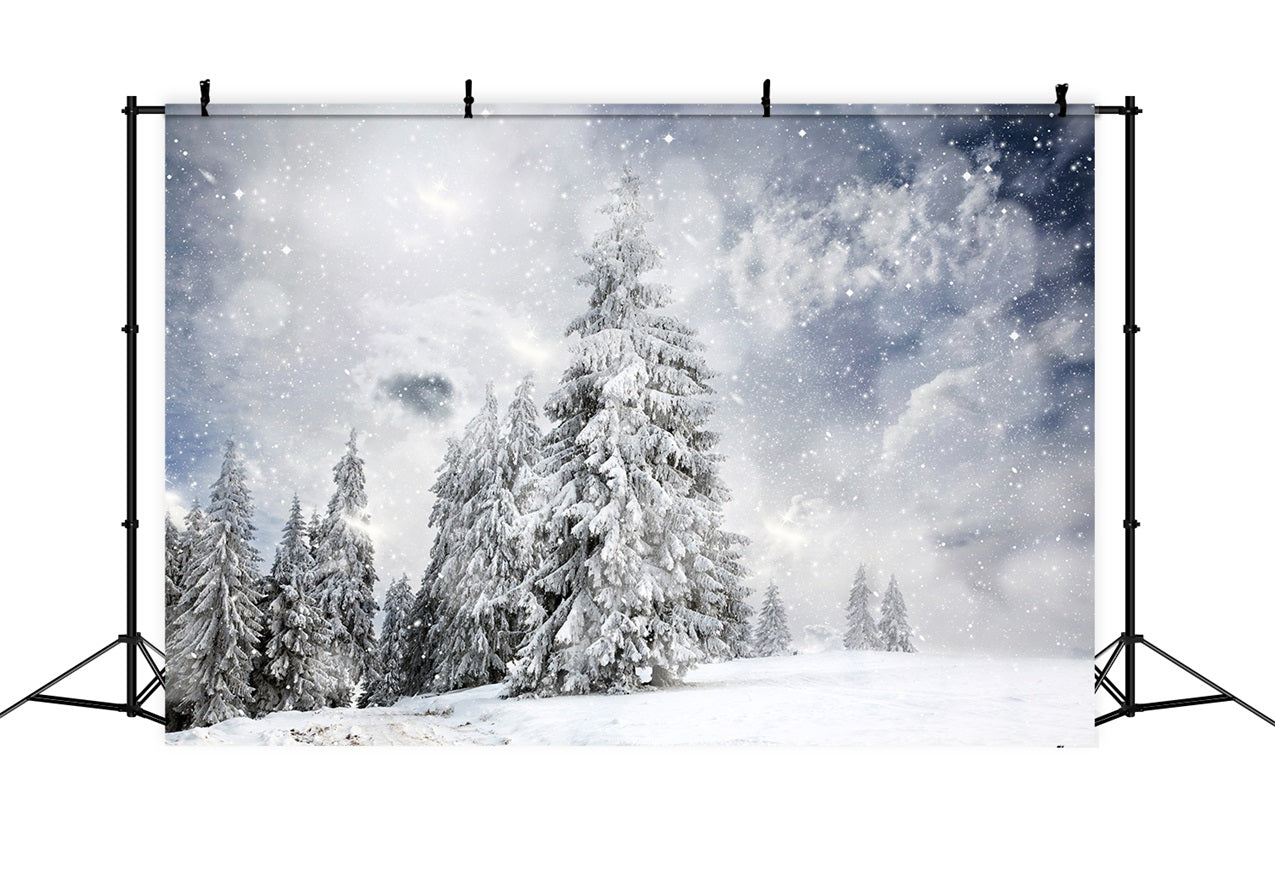 Foresta Invernale Sotto Lo Sfondo Del Cielo Stellato BRP9-224