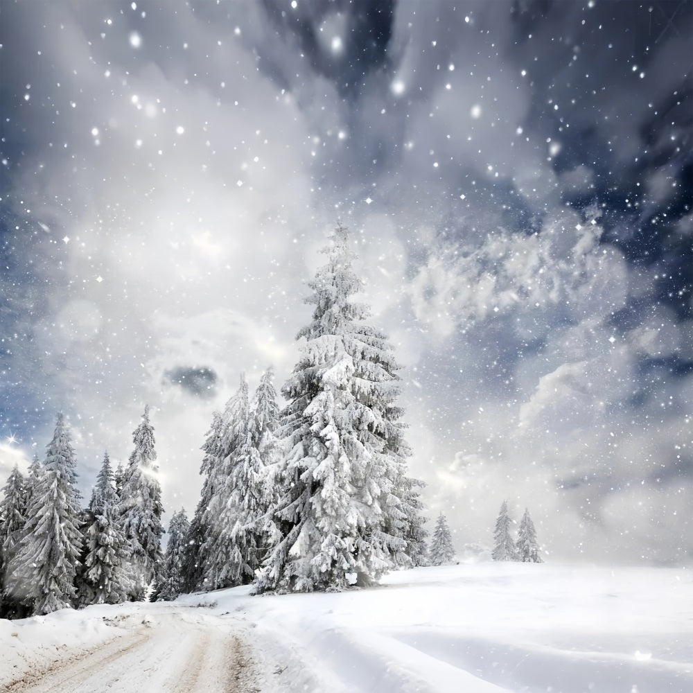 Foresta Invernale Sotto Lo Sfondo Del Cielo Stellato BRP9-224