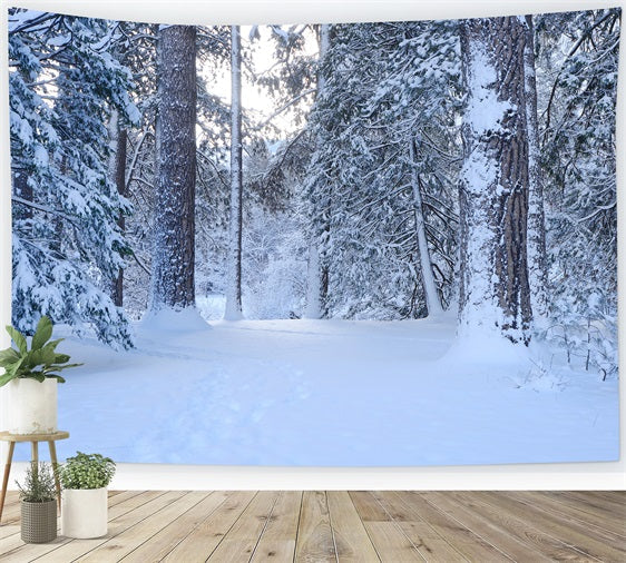 Sentiero Nel Bosco Innevato Attraverso Lo Sfondo Di Alti Pini BRP9-227
