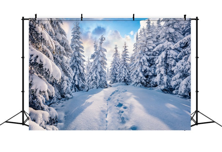 Sfondo Fotografico Con Cielo Azzurro E Foresta Invernale BRP9-228