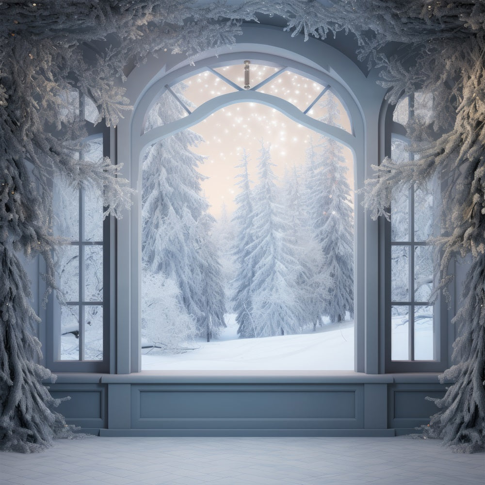 Scena Della Foresta Ghiacciata Invernale Sullo Sfondo Della Finestra BRP9-233