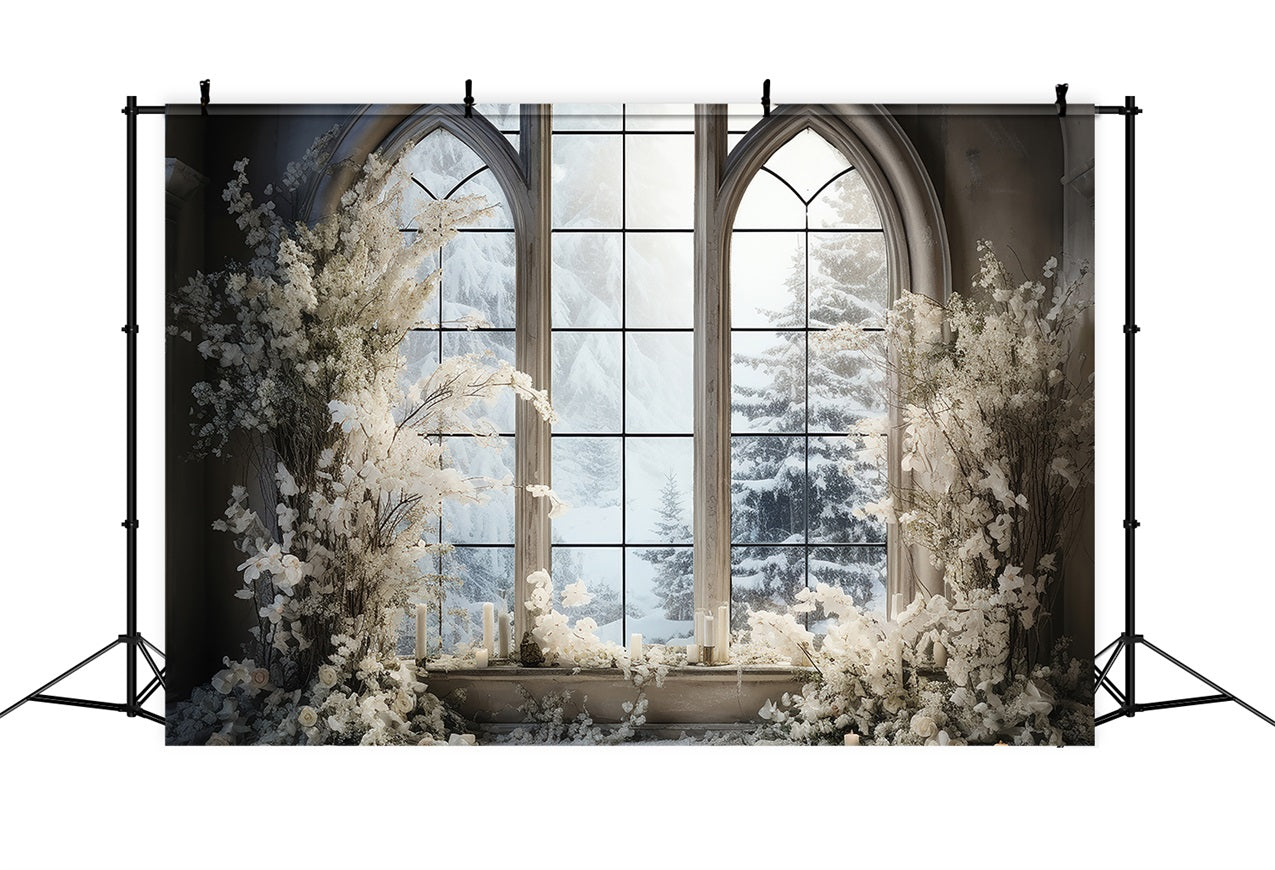 Finestra Invernale Con Alberi Di Pino Innevati Sullo Sfondo BRP9-234