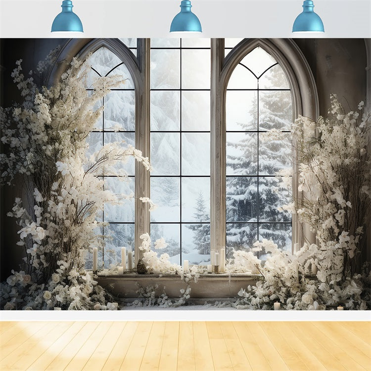 Finestra Invernale Con Alberi Di Pino Innevati Sullo Sfondo BRP9-234