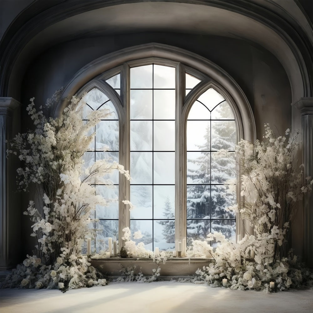 Finestra Invernale Con Alberi Di Pino Innevati Sullo Sfondo BRP9-234