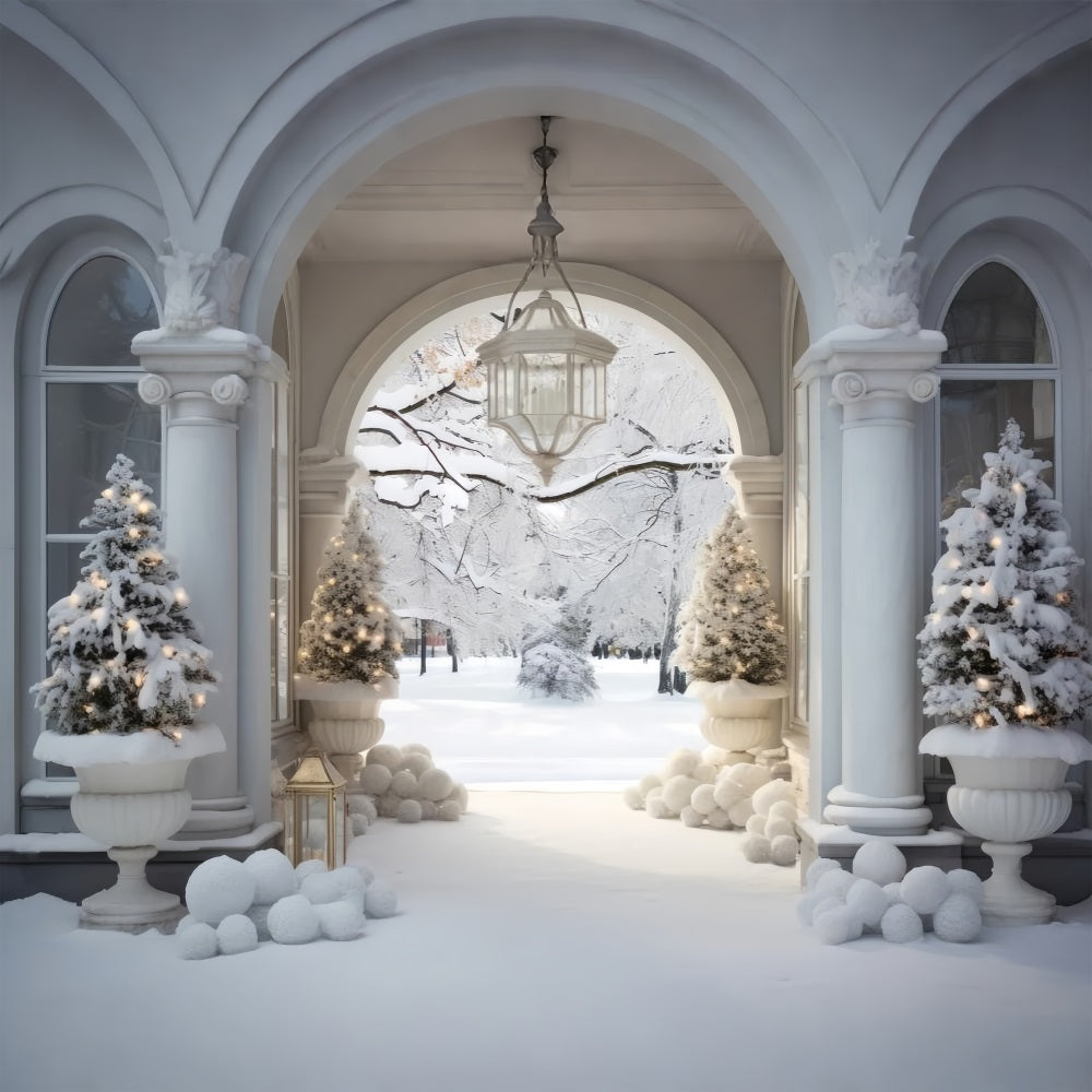Sfondo Dell'Arco In Marmo Del Cortile Del Paese Delle Meraviglie Invernali BRP9-235