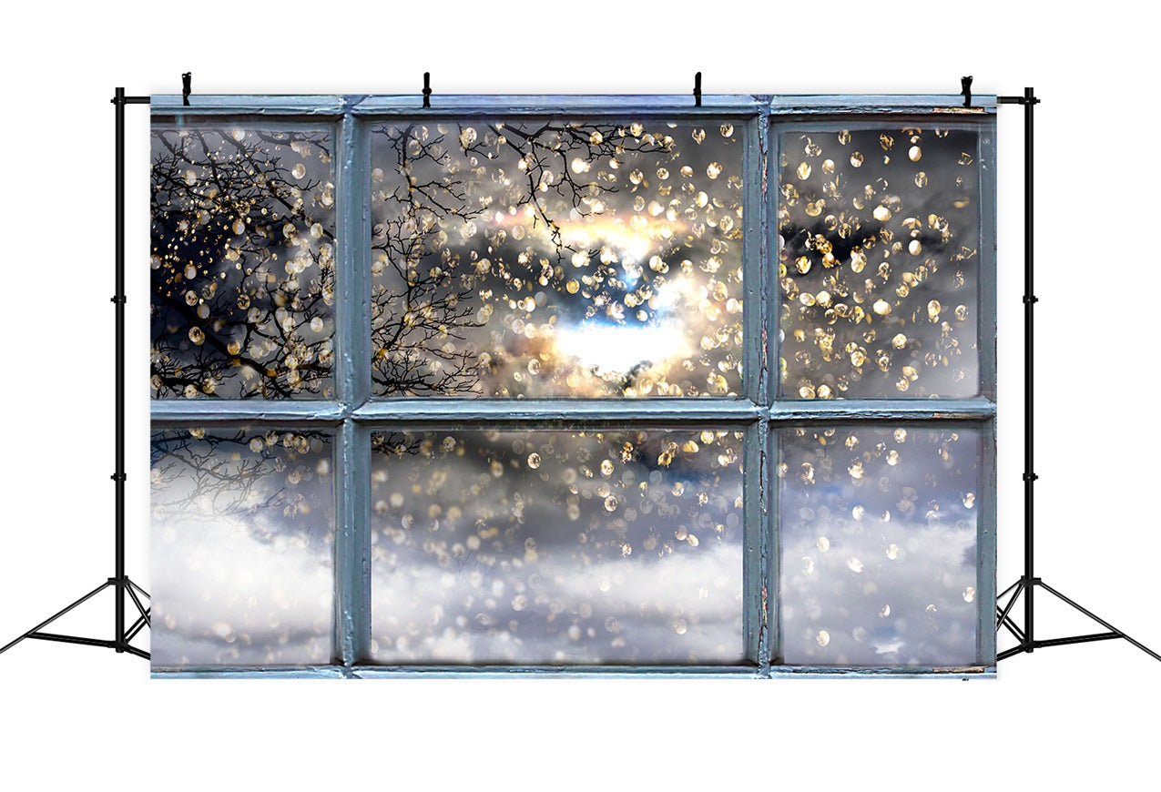 Scintillanti Rami Invernali Attraverso Lo Sfondo Della Finestra BRP9-301