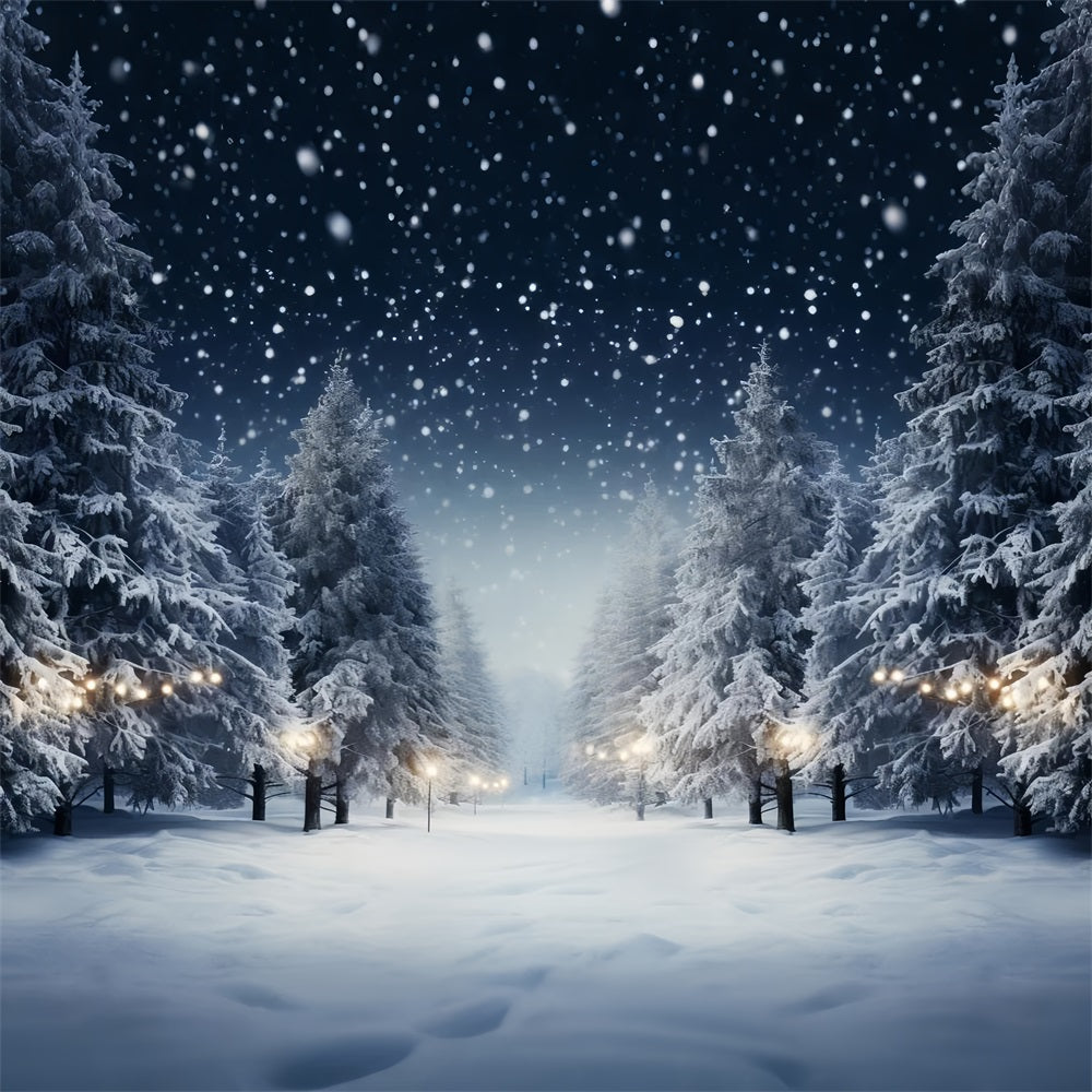 Sfondo Fotografico Invernale Innevato Con Alberi Di Pino BRP9-312