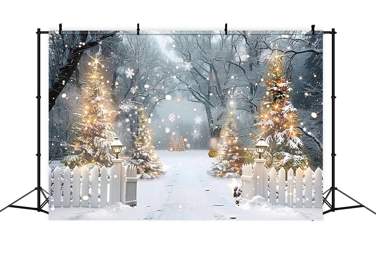 Sfondo Di Scena Notturna Della Foresta Invernale Con Alberi Luminosi BRP9-315