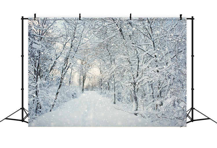 Magica Foresta Invernale Che Cade Sullo Sfondo Della Neve BRP9-319