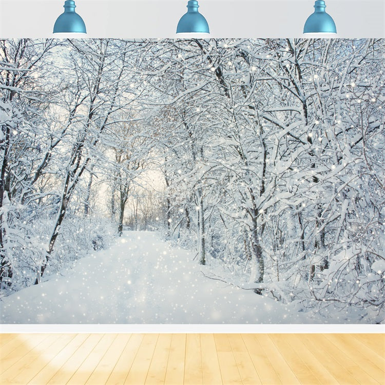 Magica Foresta Invernale Che Cade Sullo Sfondo Della Neve BRP9-319