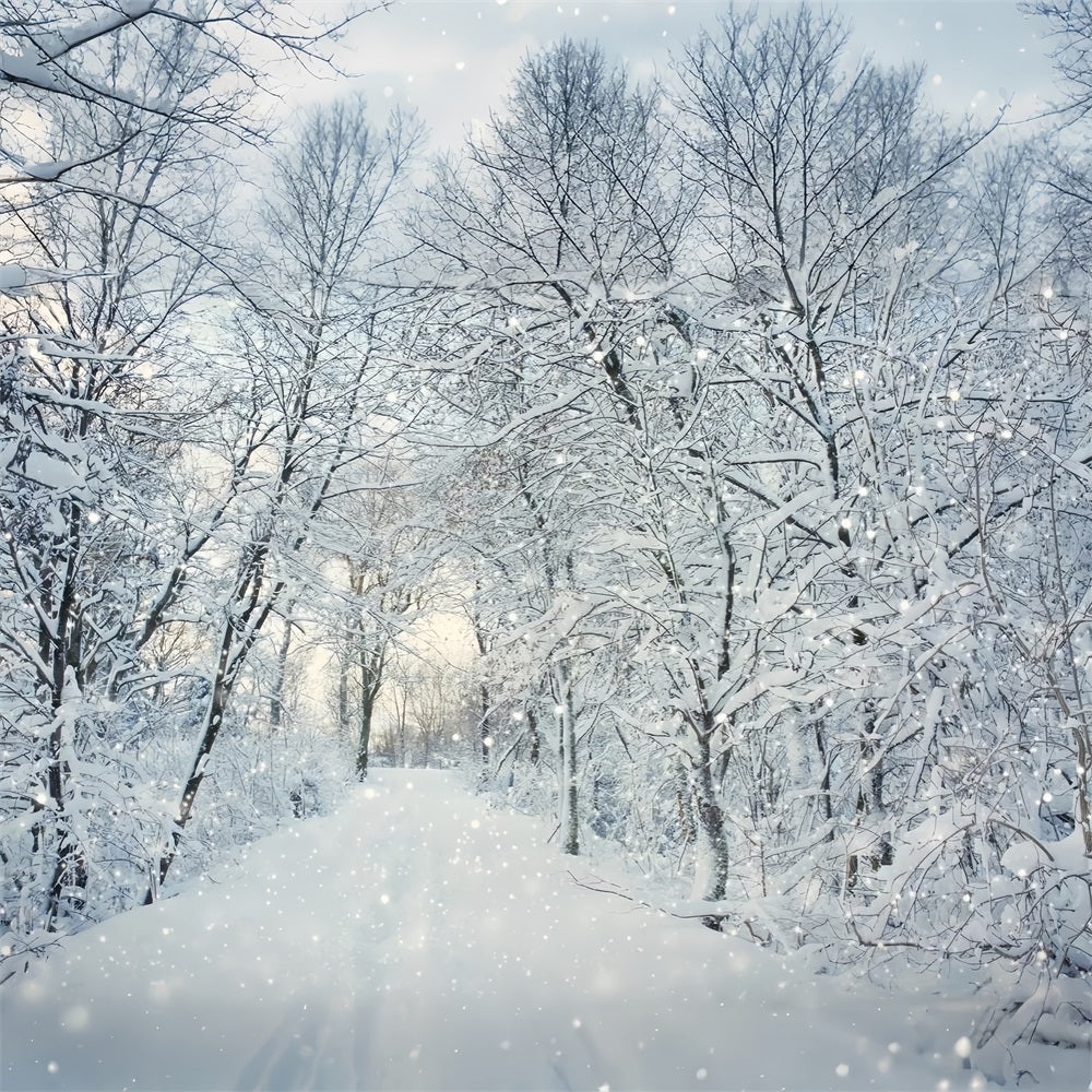 Magica Foresta Invernale Che Cade Sullo Sfondo Della Neve BRP9-319