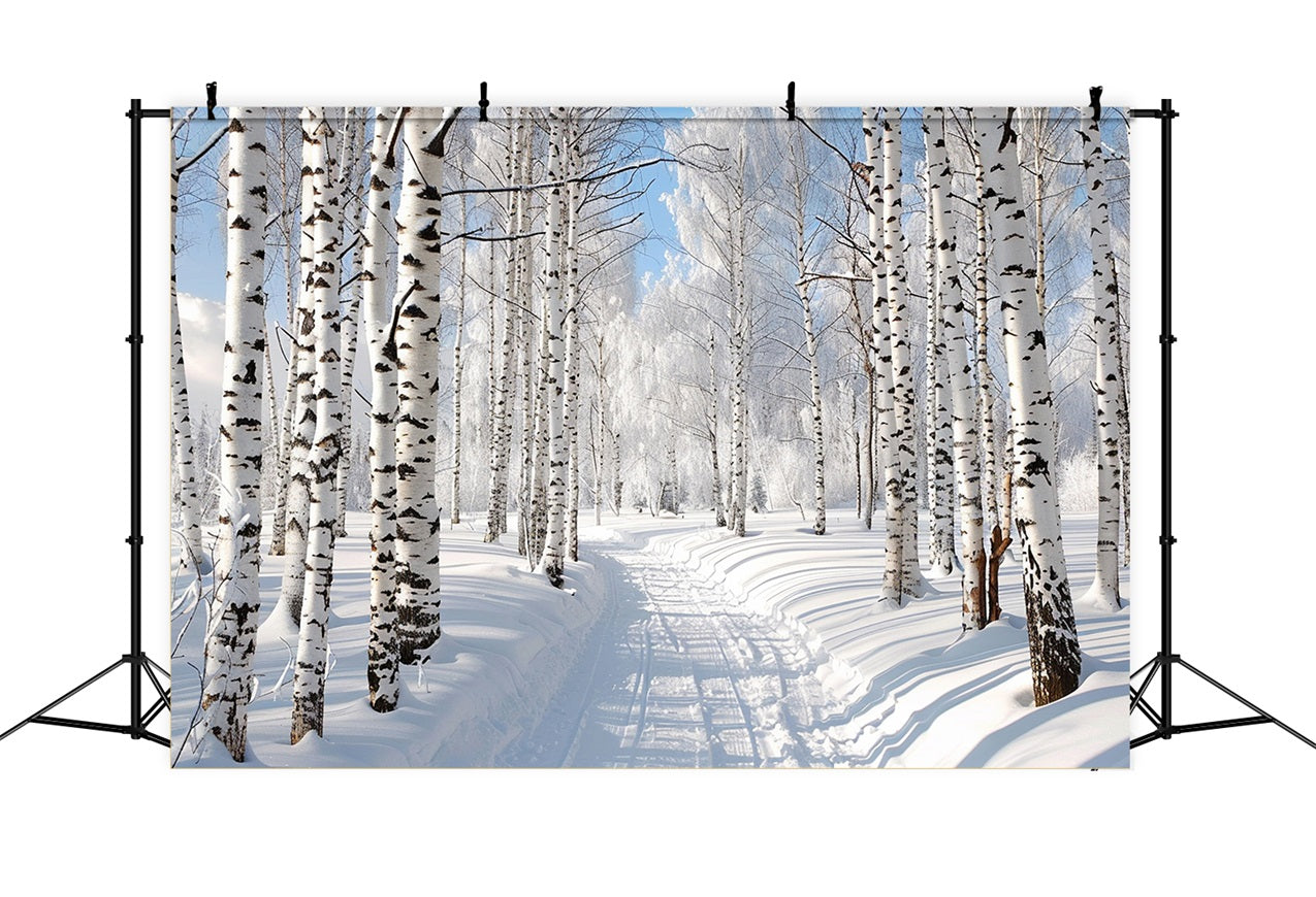 Sentiero Innevato Attraverso Lo Sfondo Della Foresta Invernale BRP9-321