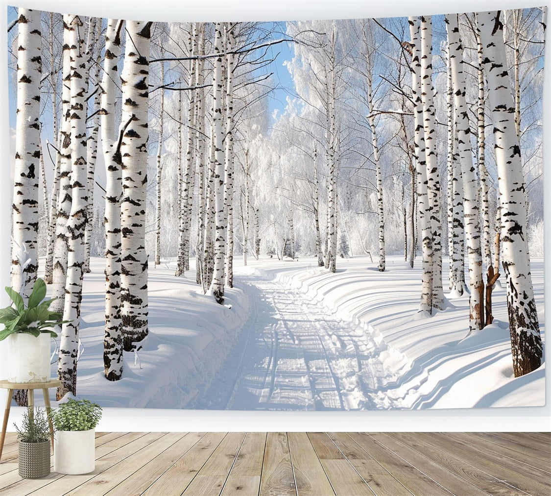 Sentiero Innevato Attraverso Lo Sfondo Della Foresta Invernale BRP9-321