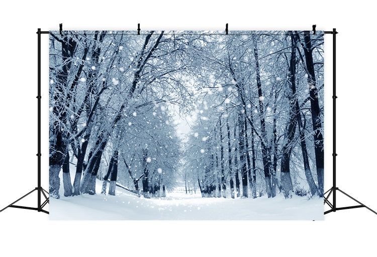 Sfondo Della Foresta Invernale Incantata Del Sentiero Innevato BRP9-324