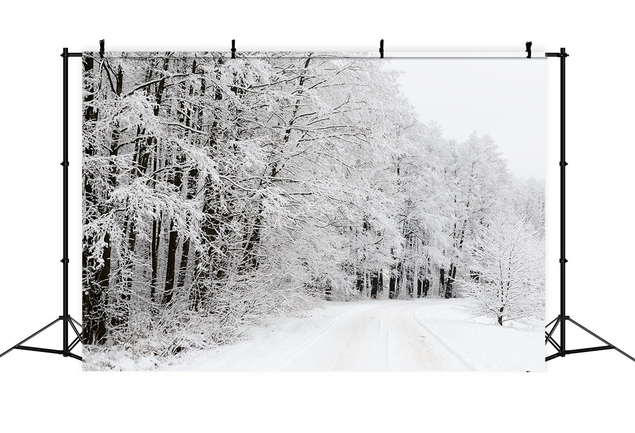 Sfondo Del Paese Delle Meraviglie Invernale Della Strada Forestale Innevata BRP9-325