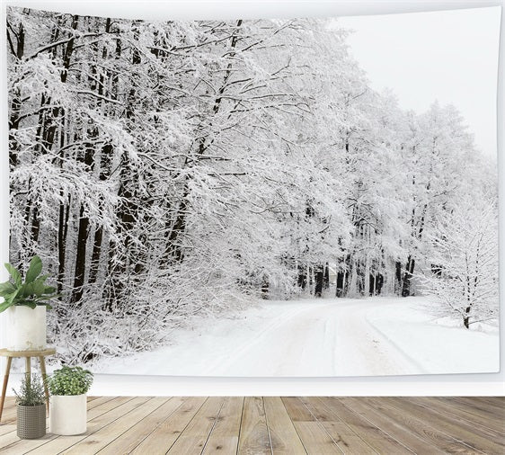 Sfondo Del Paese Delle Meraviglie Invernale Della Strada Forestale Innevata BRP9-325